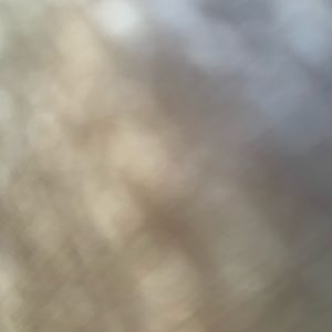 Meet your Posher, Catalina